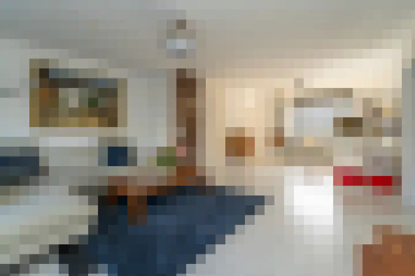 Philips Vingboonsstraat 15 Tilburg thumbnail 17