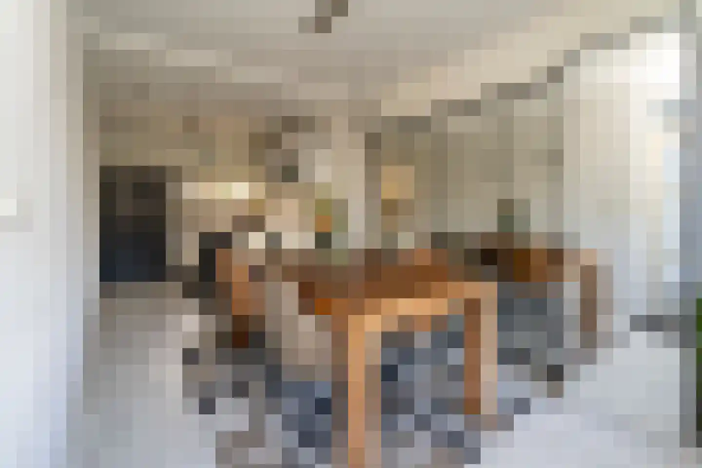 Philips Vingboonsstraat 15 Tilburg thumbnail 20