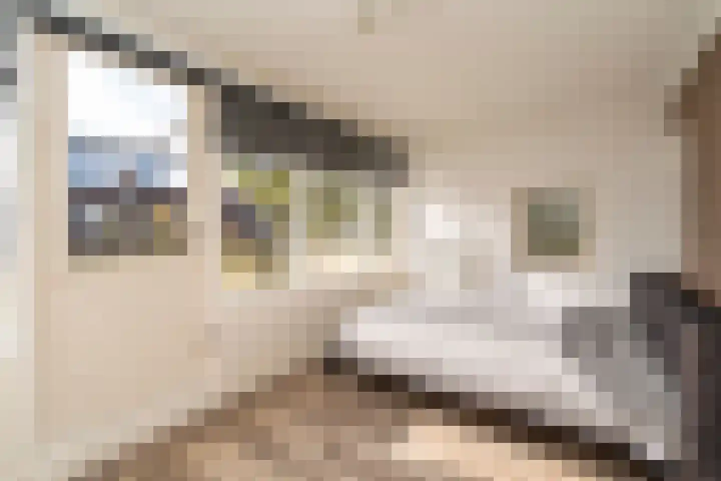 Philips Vingboonsstraat 15 Tilburg thumbnail 31