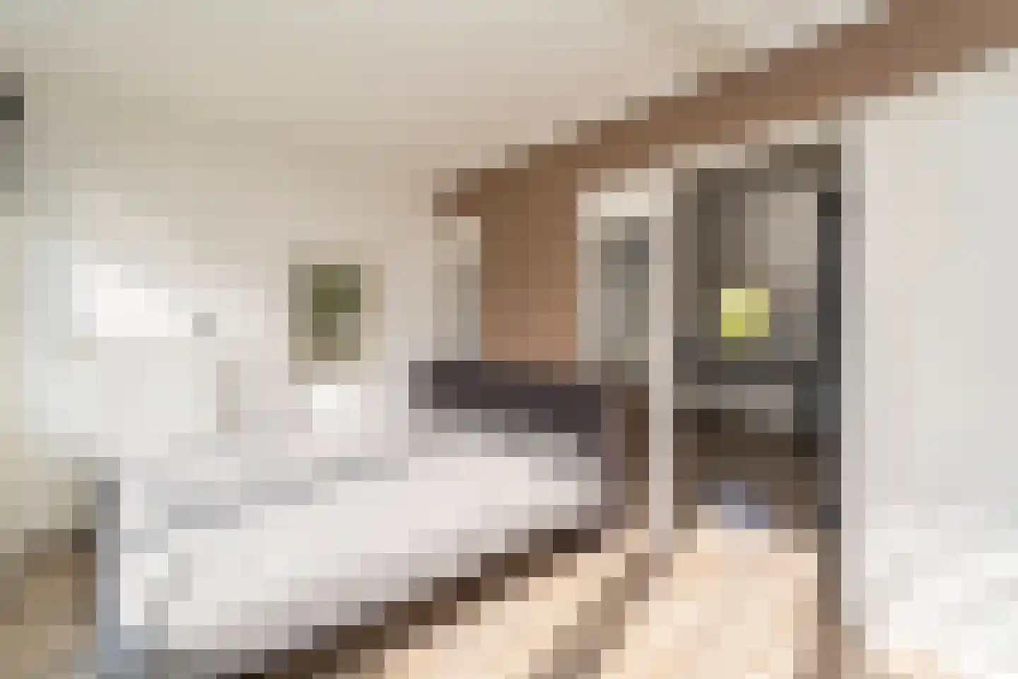 Philips Vingboonsstraat 15 Tilburg thumbnail 32