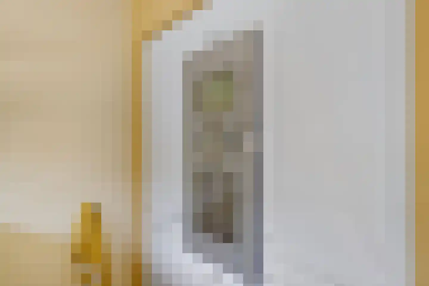 Philips Vingboonsstraat 18 Eindhoven thumbnail 15