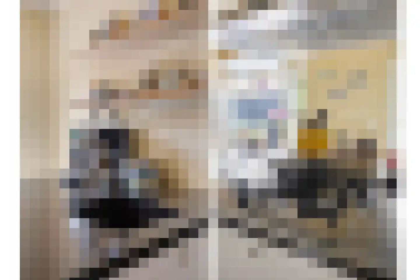 Philips Vingboonsstraat 18 Eindhoven thumbnail 16