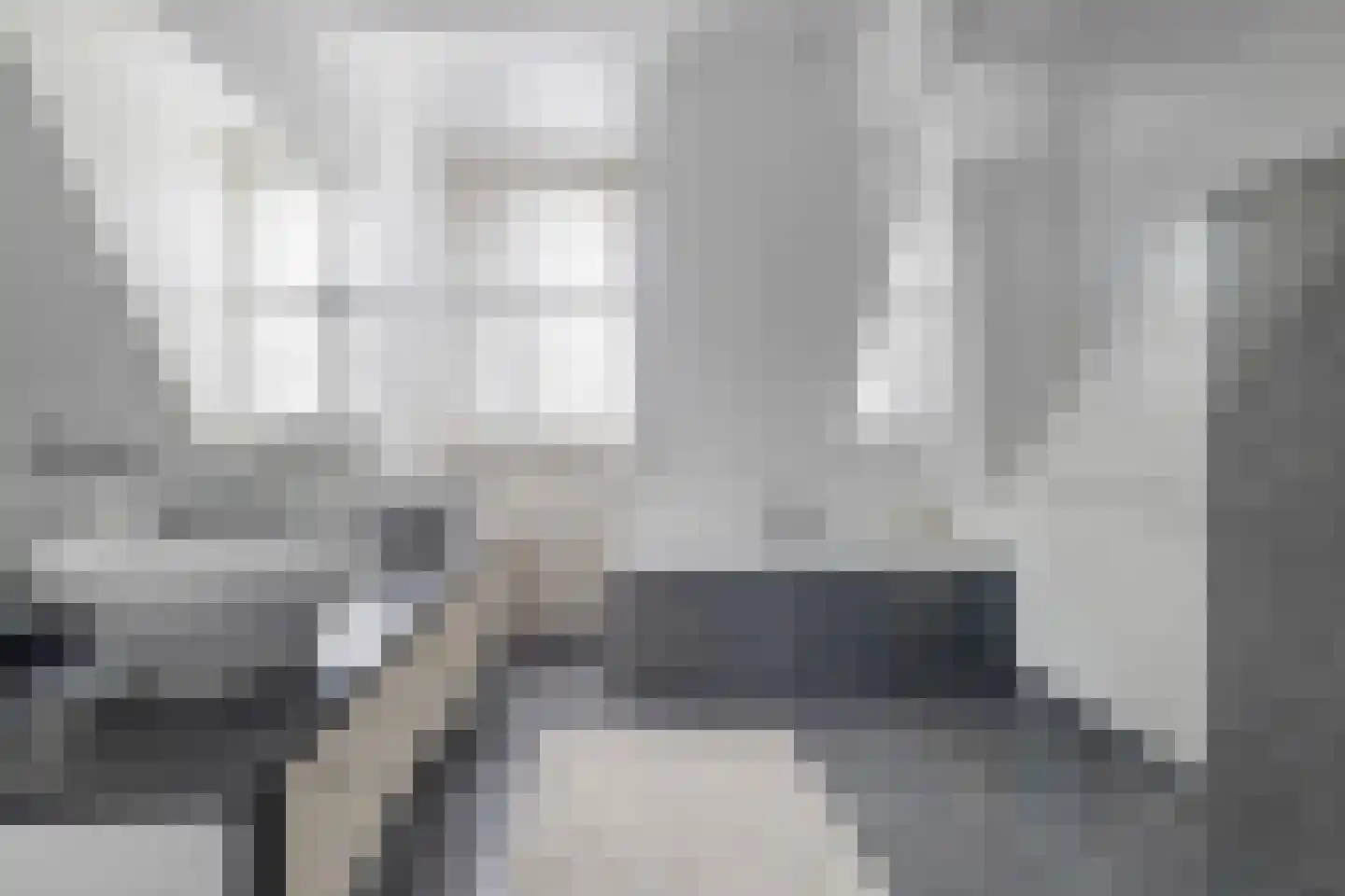 Philips Vingboonsstraat 18 Eindhoven thumbnail 18