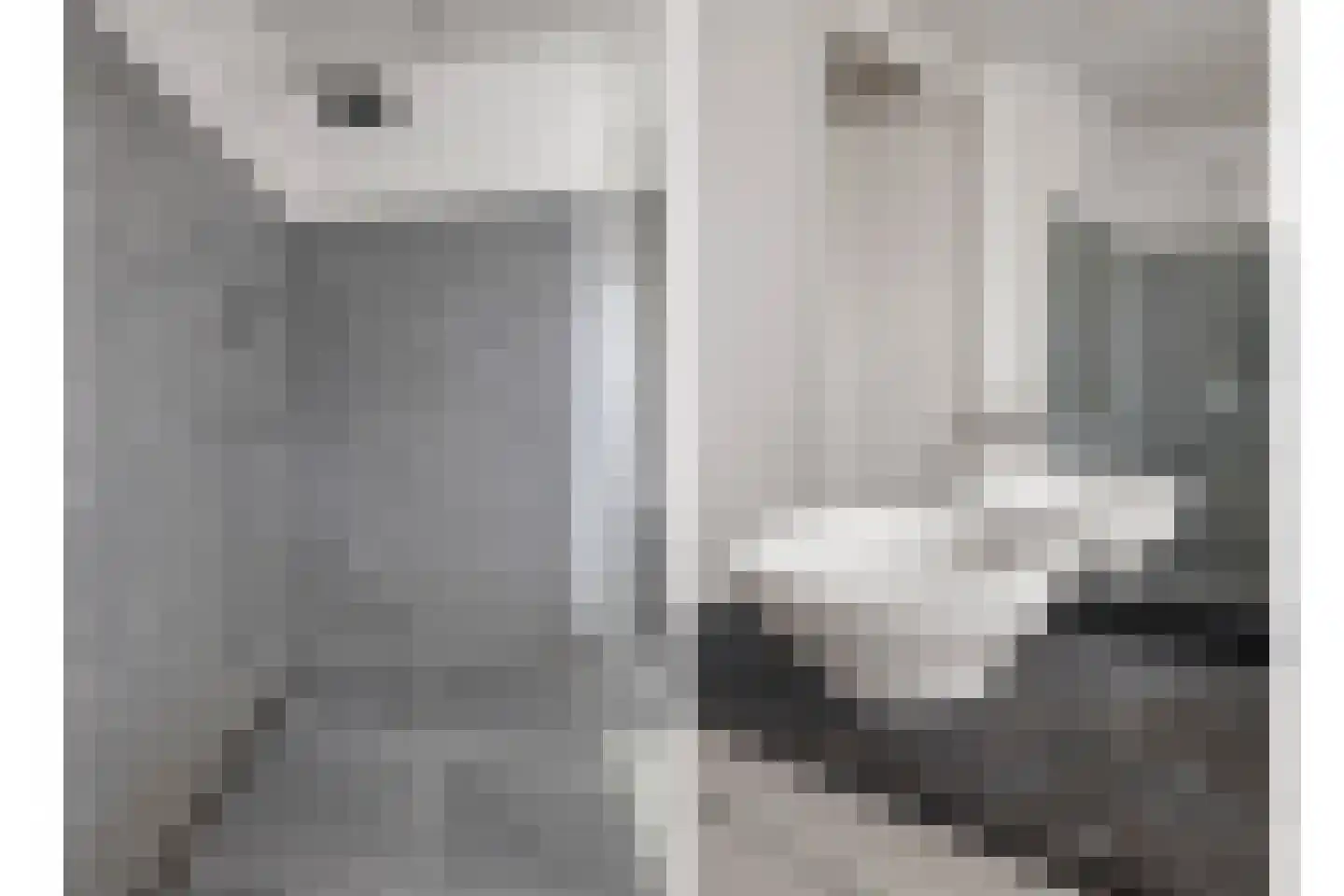 Philips Vingboonsstraat 18 Eindhoven thumbnail 19