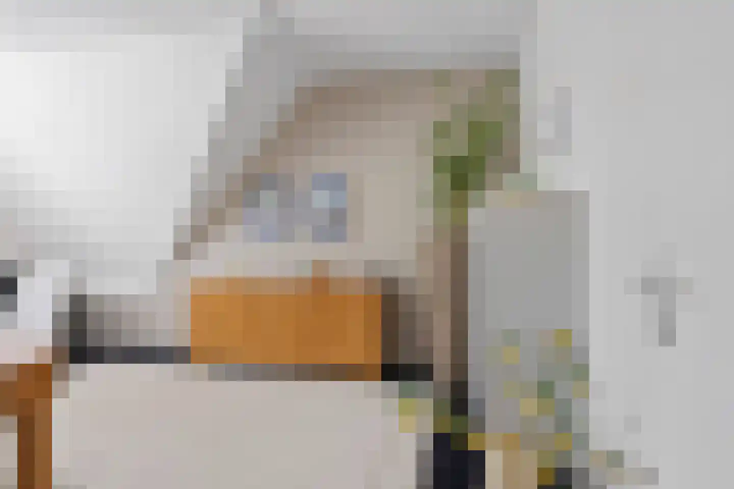 Philips Vingboonsstraat 18 Eindhoven thumbnail 21