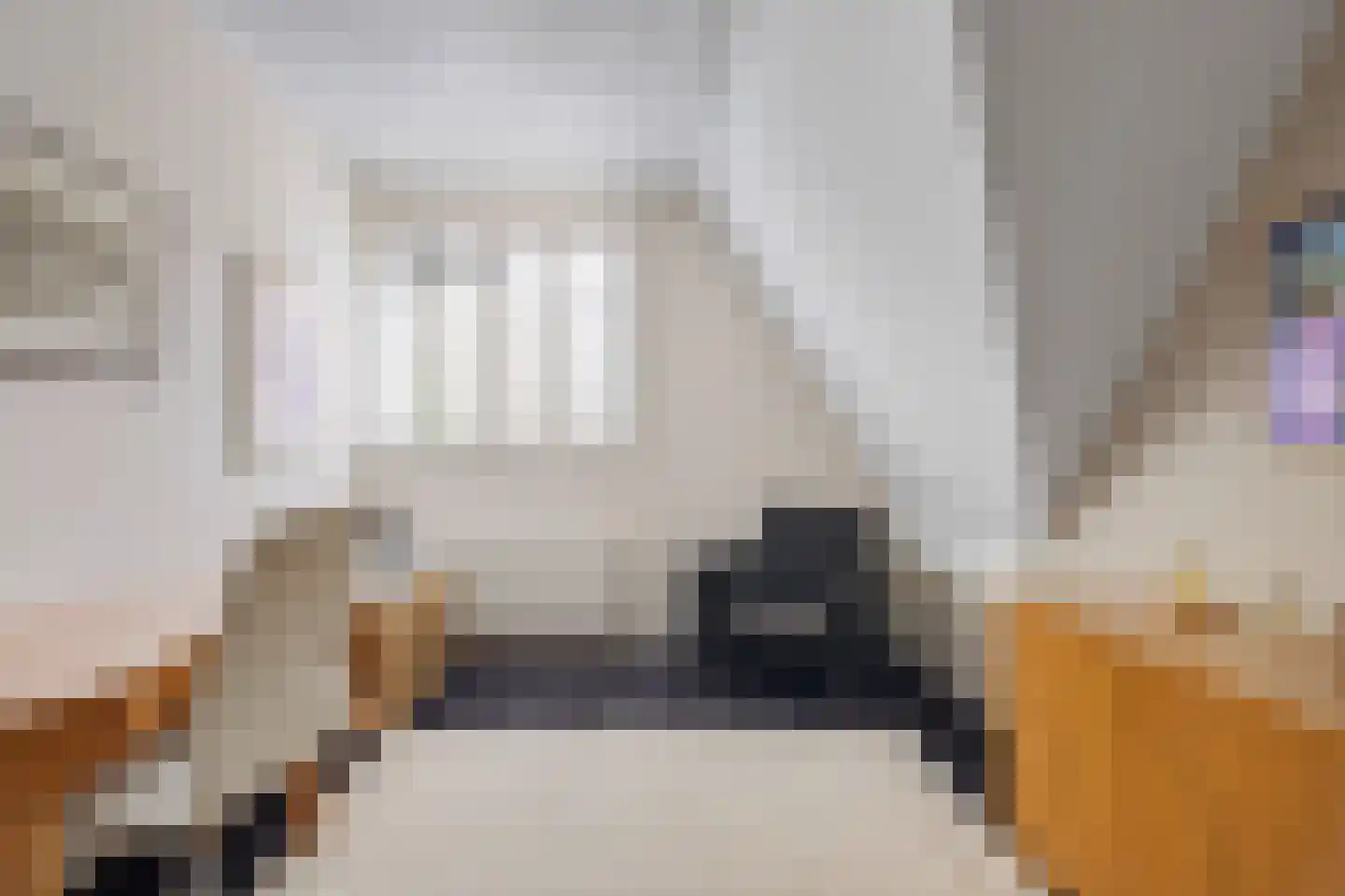 Philips Vingboonsstraat 18 Eindhoven thumbnail 22
