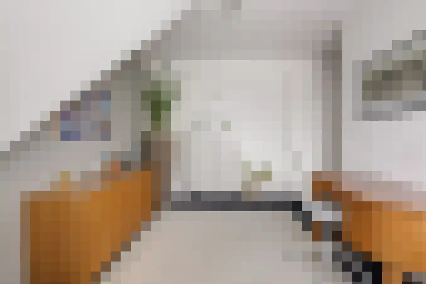 Philips Vingboonsstraat 18 Eindhoven thumbnail 23