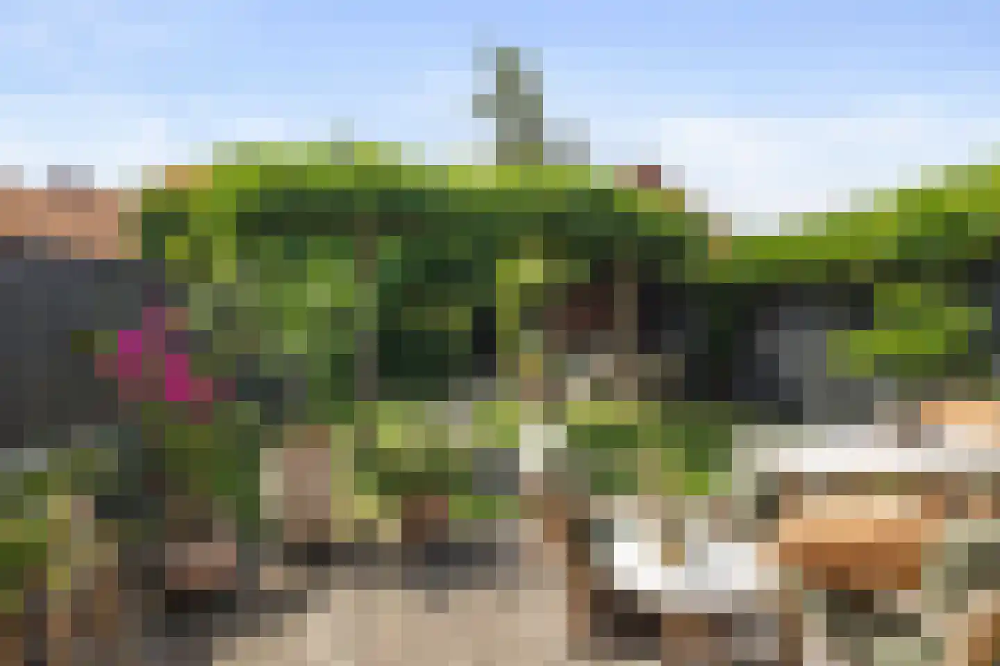 Philips Vingboonsstraat 18 Eindhoven thumbnail 30