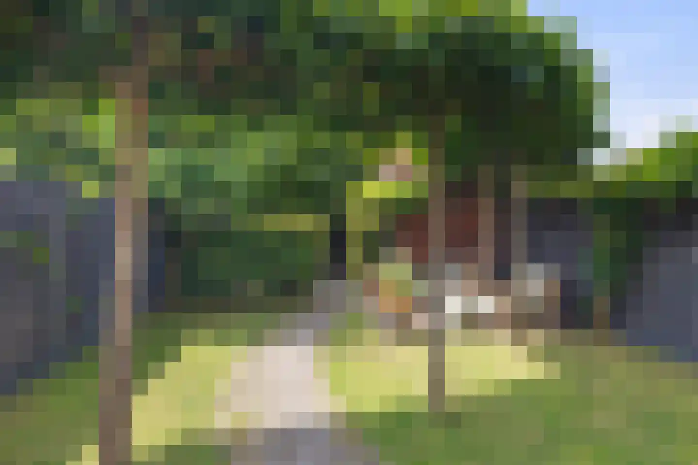 Philips Vingboonsstraat 18 Eindhoven thumbnail 31