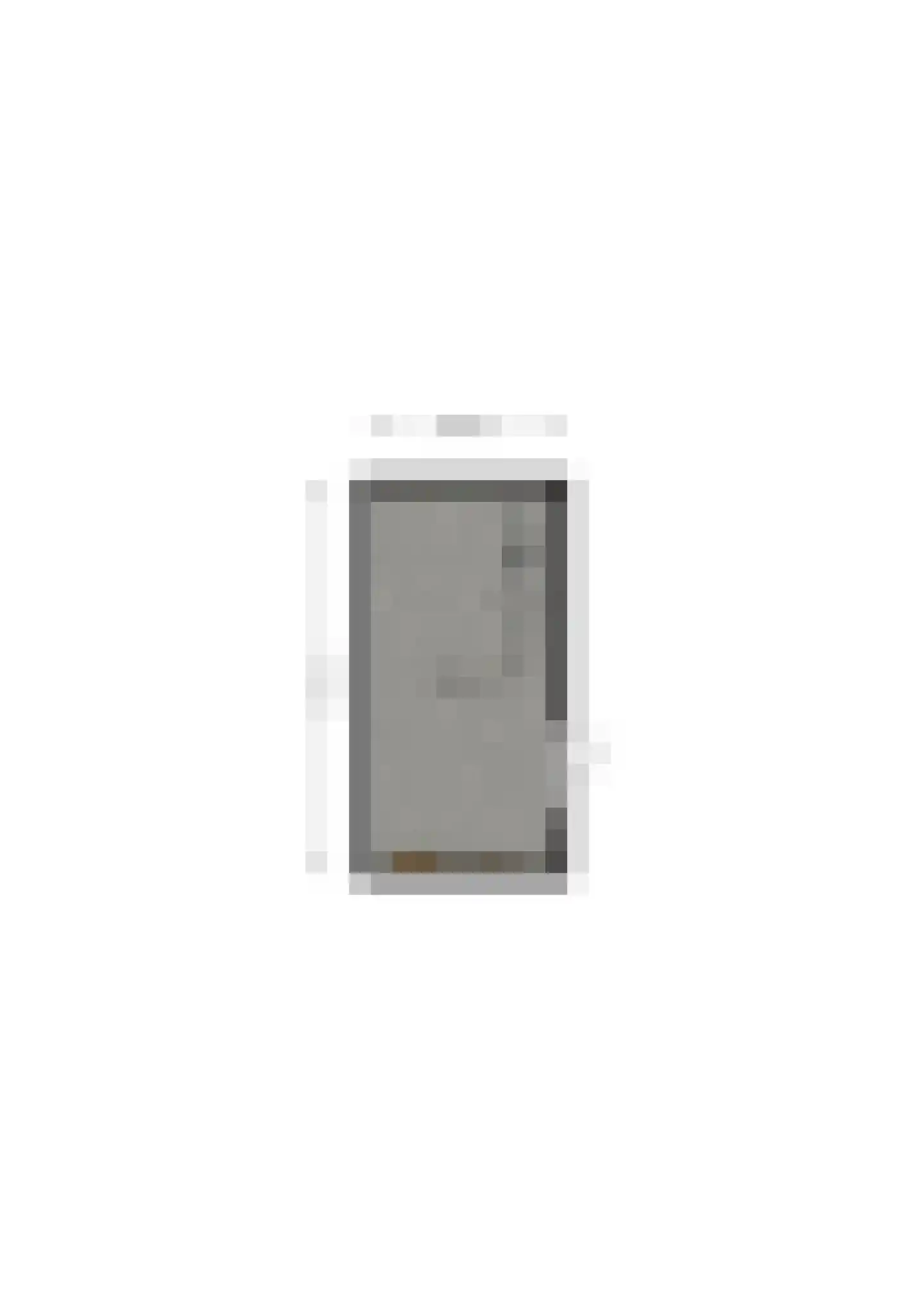 Philips Vingboonsstraat 18 Eindhoven thumbnail 38