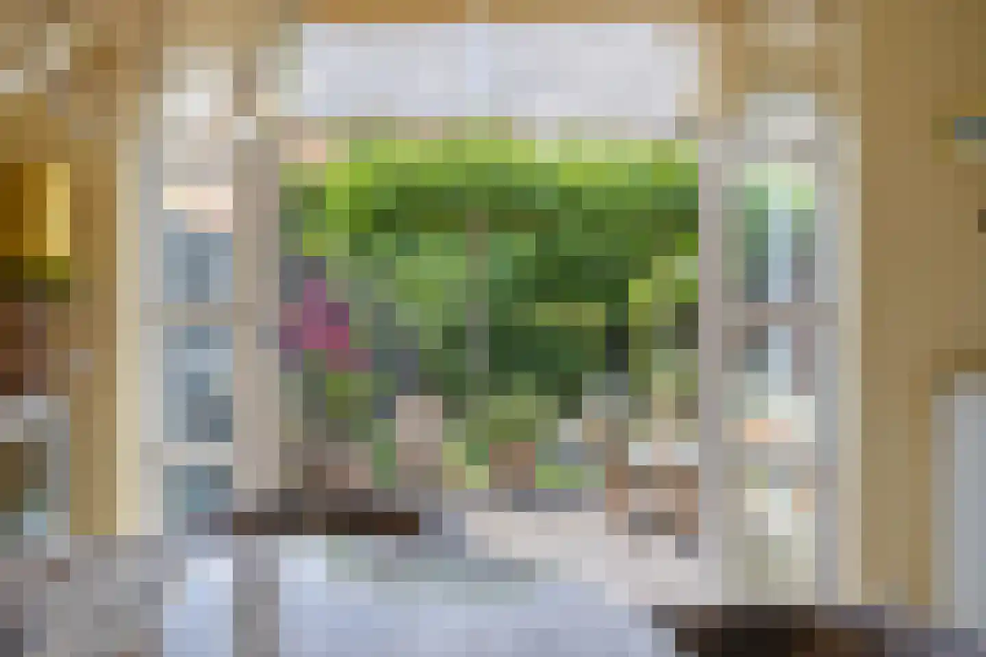 Philips Vingboonsstraat 18 Eindhoven thumbnail 4