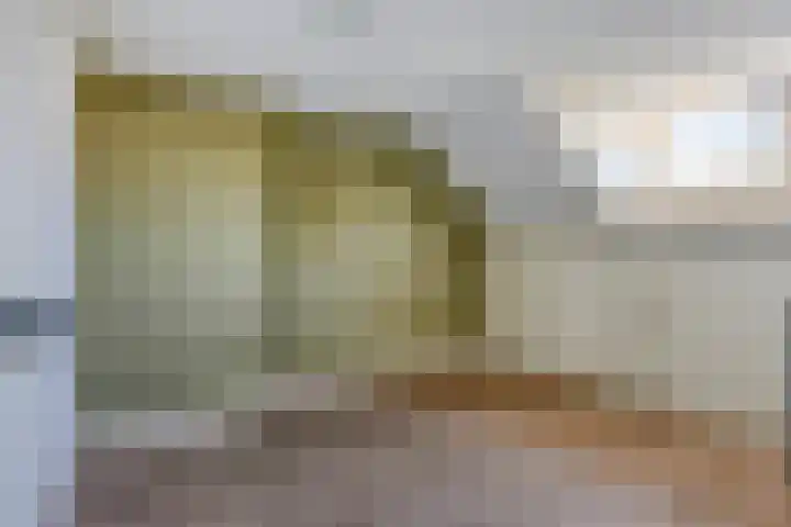 Philips Vingboonsstraat 24 Tilburg thumbnail 24