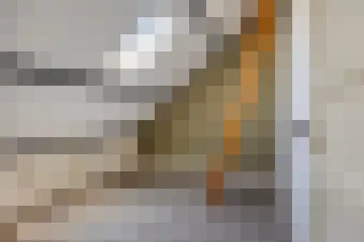 Philips Vingboonsstraat 24 Tilburg thumbnail 25