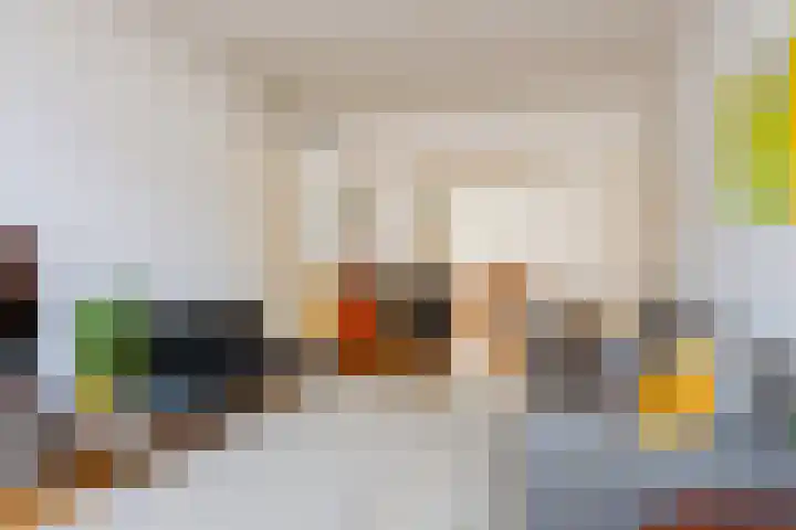 Philips Vingboonsstraat 35 Tilburg thumbnail 17