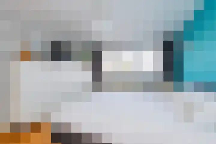 Philips Vingboonsstraat 35 Tilburg thumbnail 27