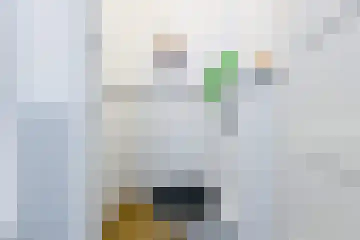 Philips Vingboonsstraat 35 Tilburg thumbnail 29