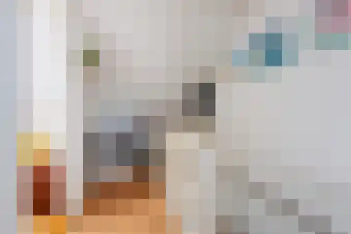 Philips Vingboonsstraat 35 Tilburg thumbnail 39