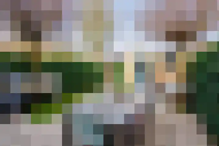 Philips Vingboonsstraat 35 Tilburg thumbnail 45