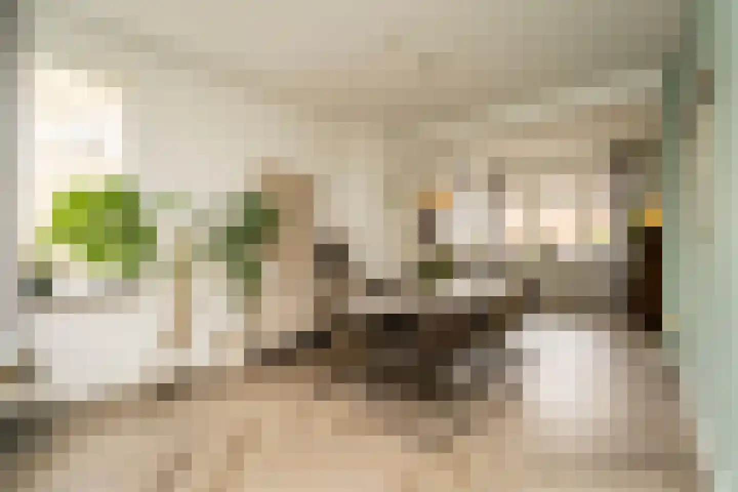 Philips Vingboonsstraat 51 Tilburg thumbnail 10