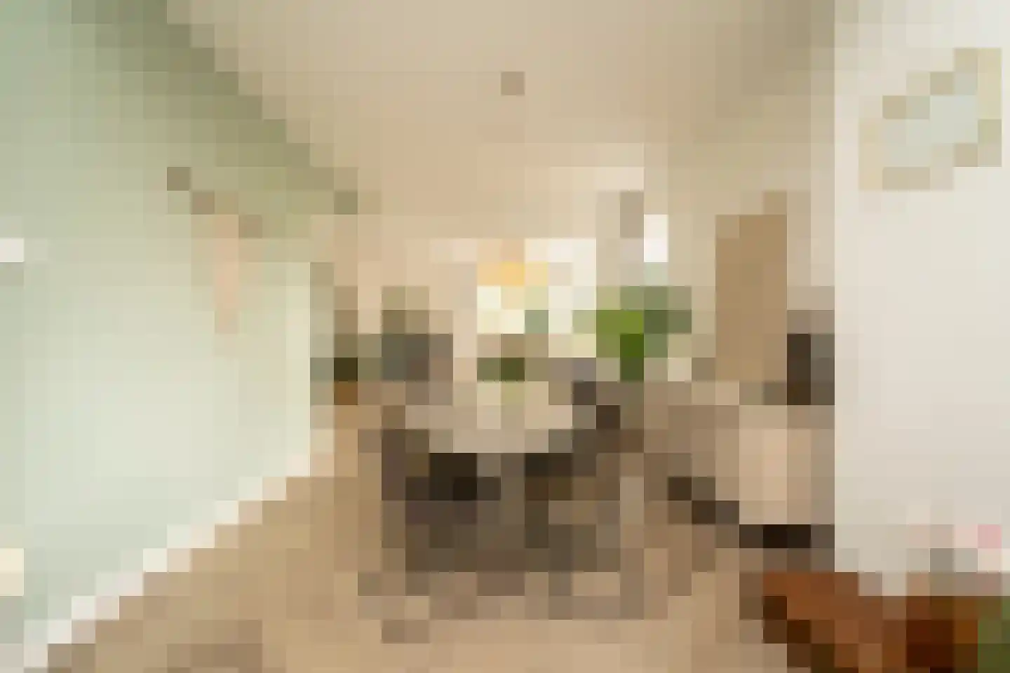 Philips Vingboonsstraat 51 Tilburg thumbnail 11