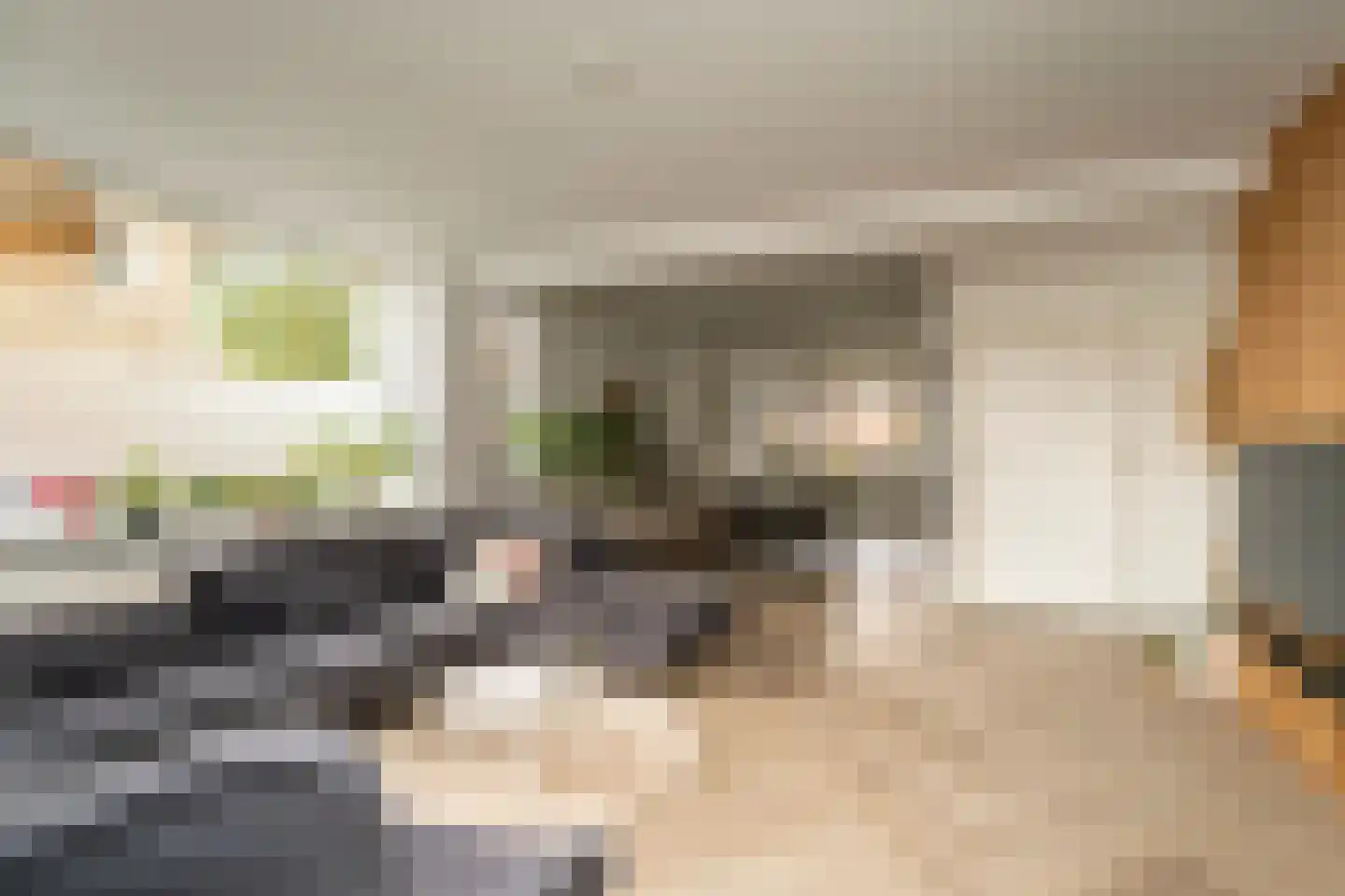 Philips Vingboonsstraat 51 Tilburg thumbnail 16
