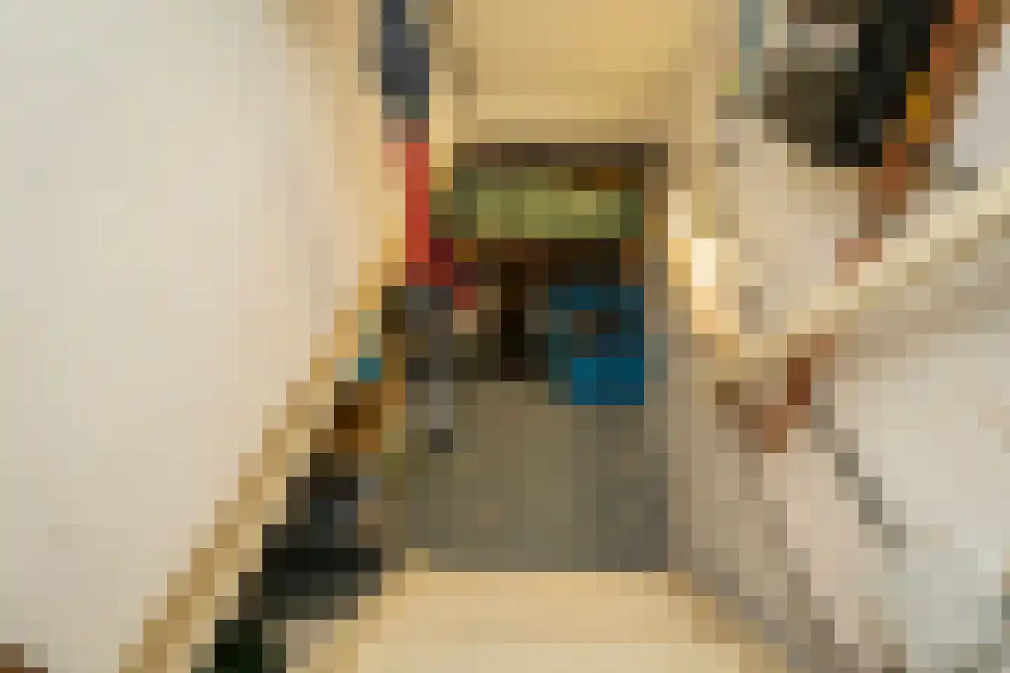 Philips Vingboonsstraat 51 Tilburg thumbnail 17