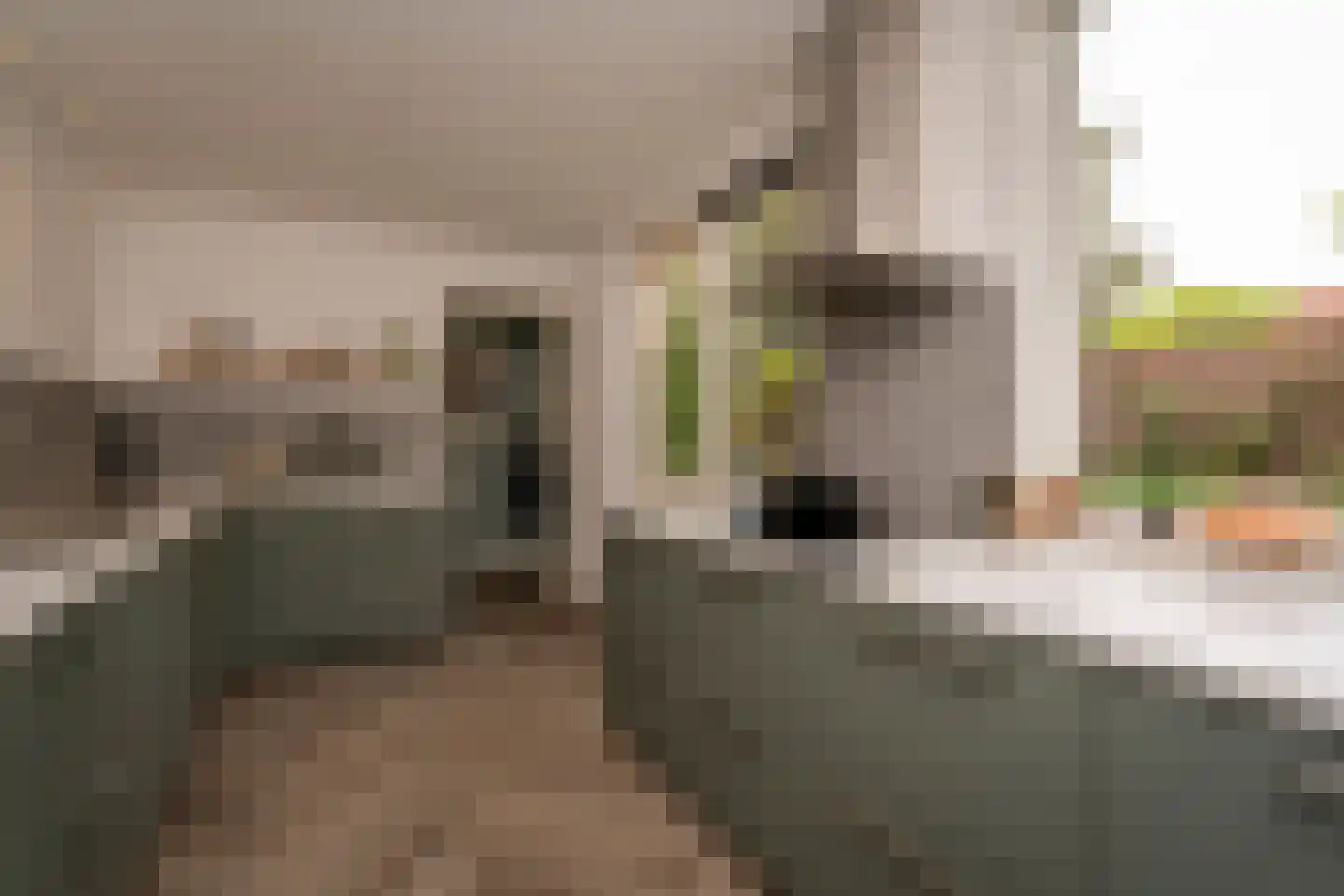 Philips Vingboonsstraat 51 Tilburg thumbnail 20