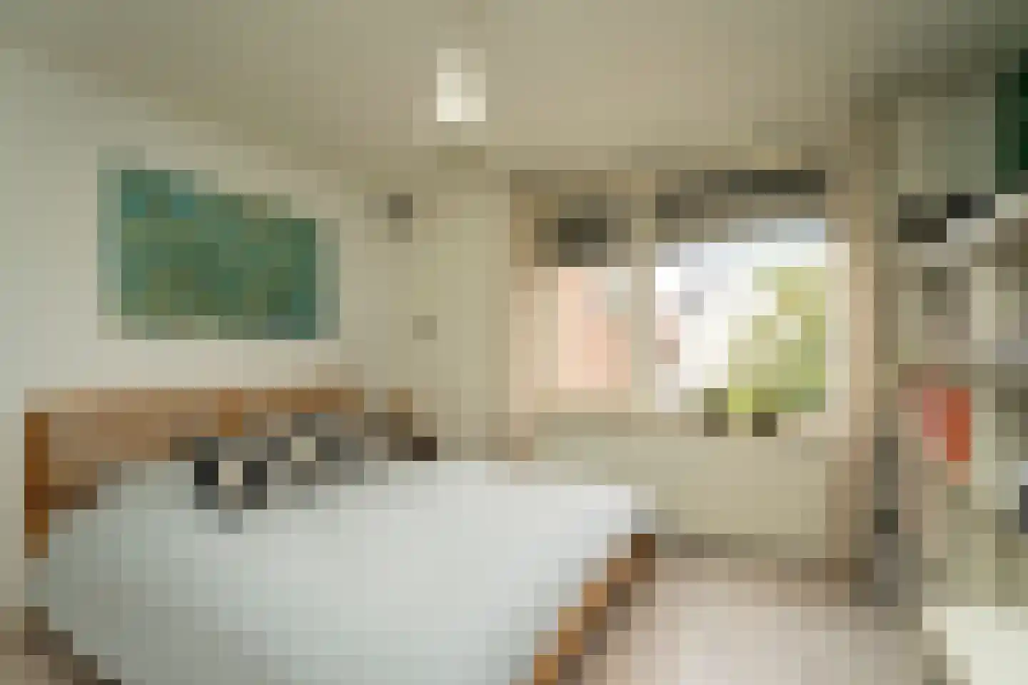 Philips Vingboonsstraat 51 Tilburg thumbnail 27
