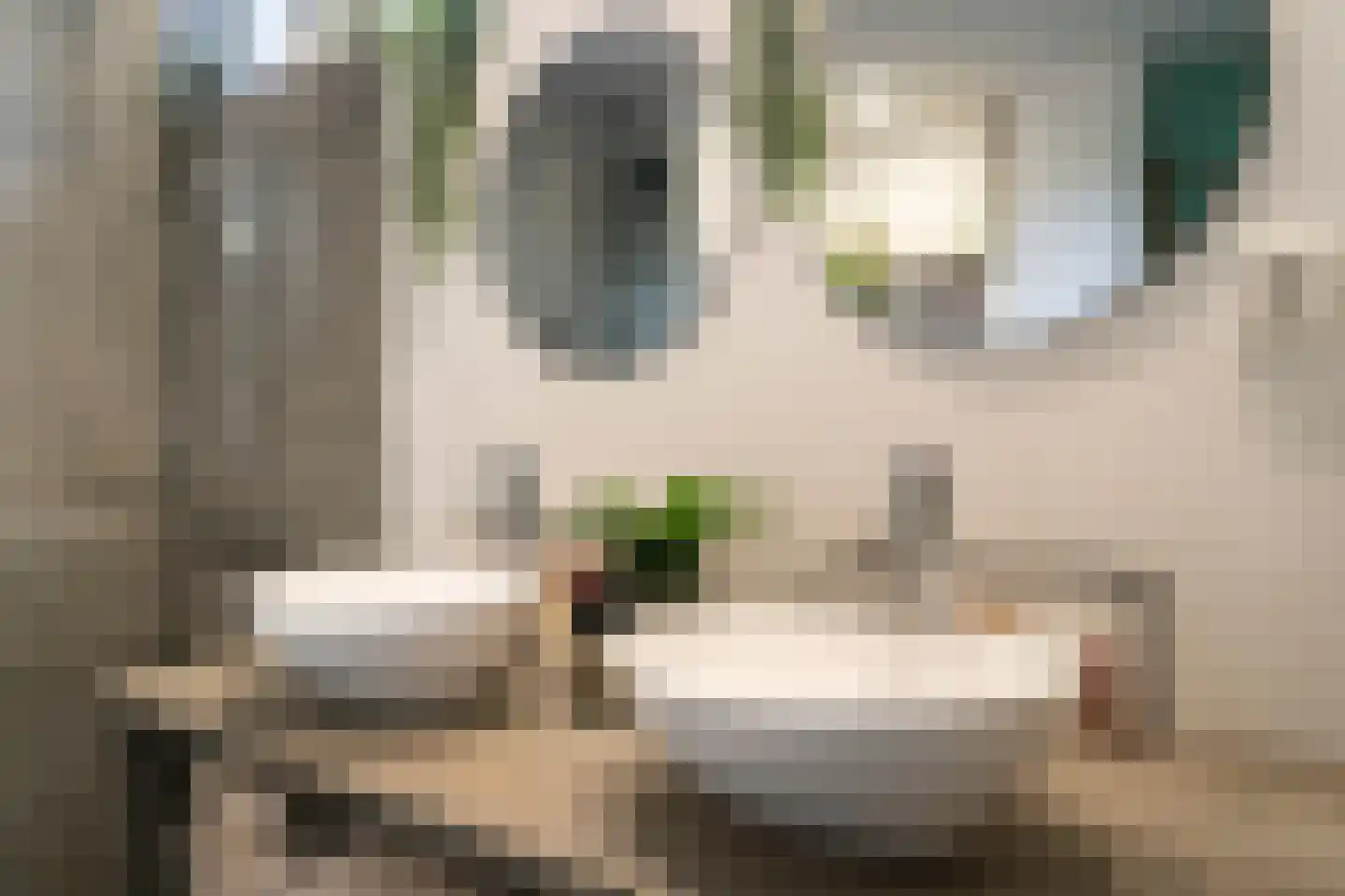 Philips Vingboonsstraat 51 Tilburg thumbnail 32