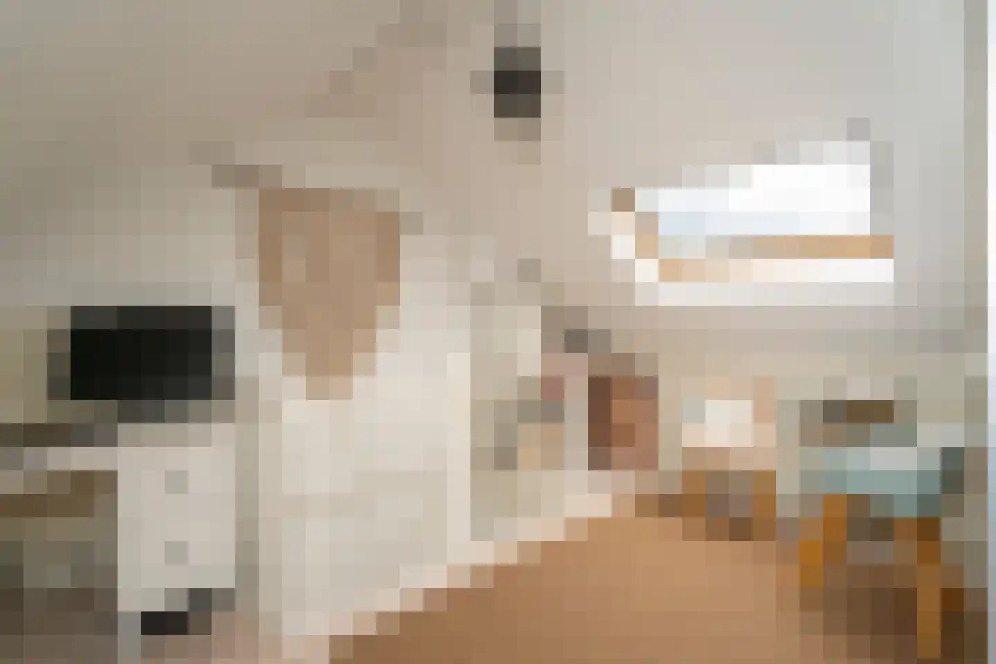 Philips Vingboonsstraat 51 Tilburg thumbnail 35