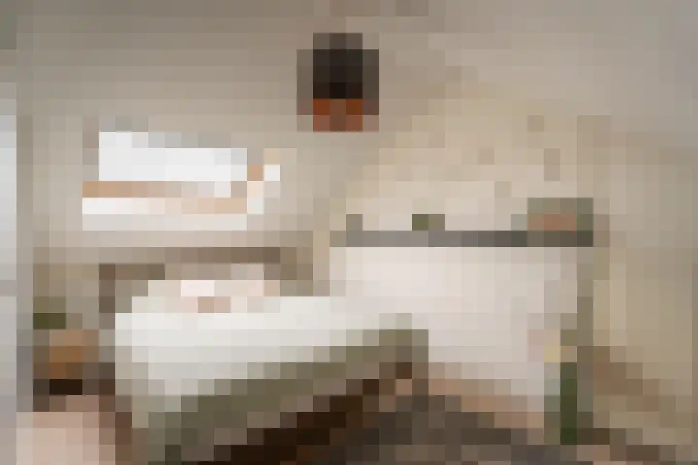 Philips Vingboonsstraat 51 Tilburg thumbnail 36