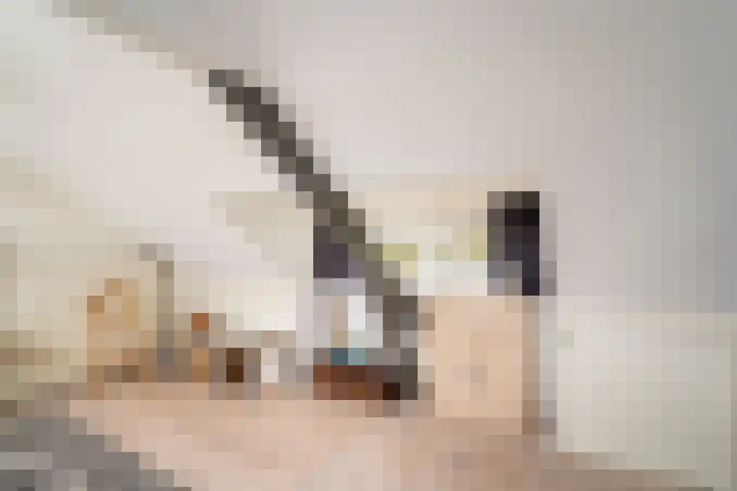 Philips Vingboonsstraat 51 Tilburg thumbnail 37
