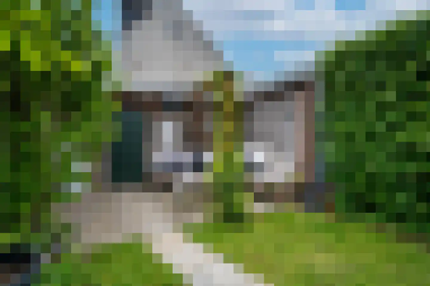 Philips Vingboonsstraat 51 Tilburg thumbnail 43