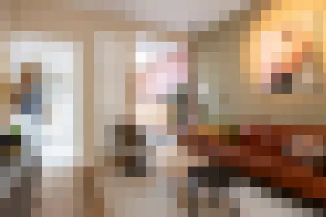 Philips Vingboonsstraat 53 Tilburg thumbnail 12