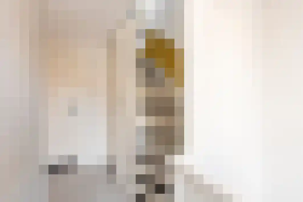 Philips Vingboonsstraat 53 Tilburg thumbnail 34