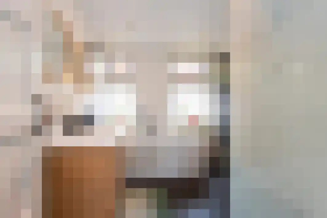 Philips Vingboonsstraat 53 Tilburg thumbnail 4