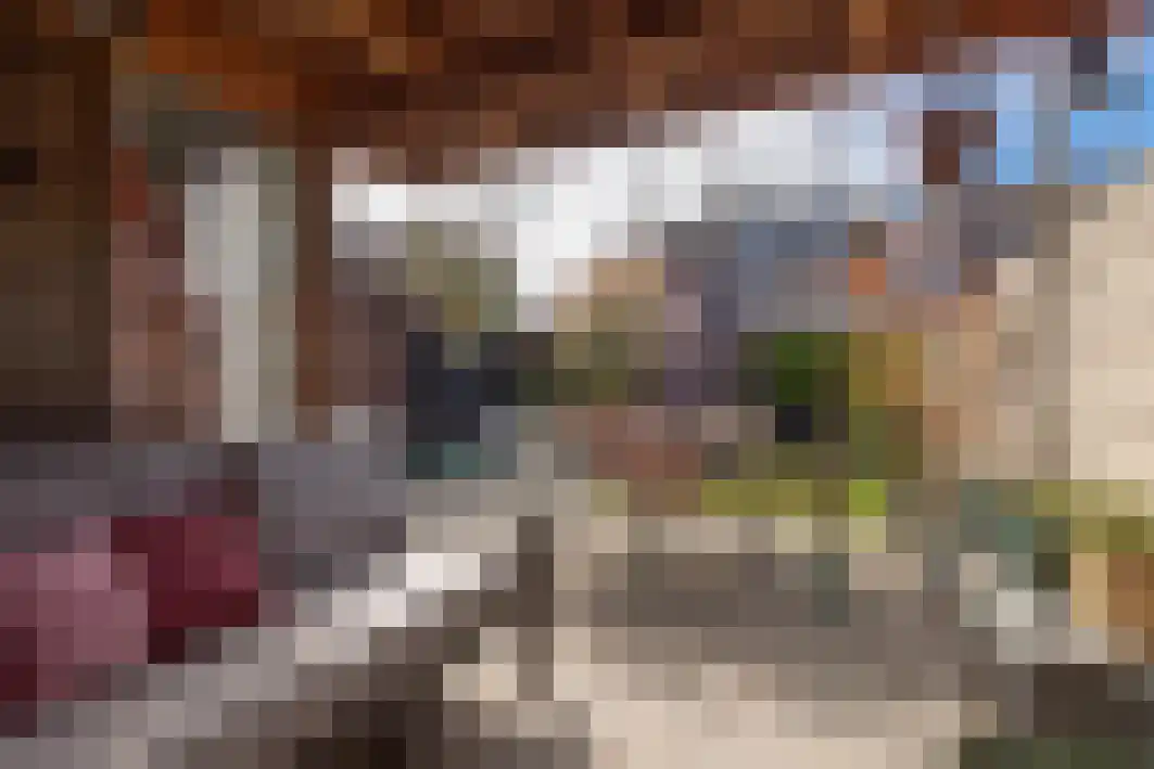 Philips Vingboonsstraat 53 Tilburg thumbnail 42
