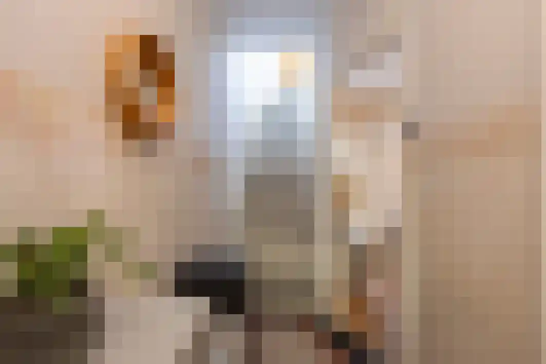 Philips Vingboonsstraat 53 Tilburg thumbnail 9