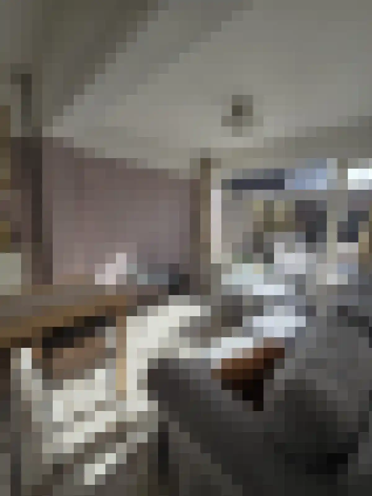 Philips Vingboonsstraat 60 Tilburg thumbnail 6