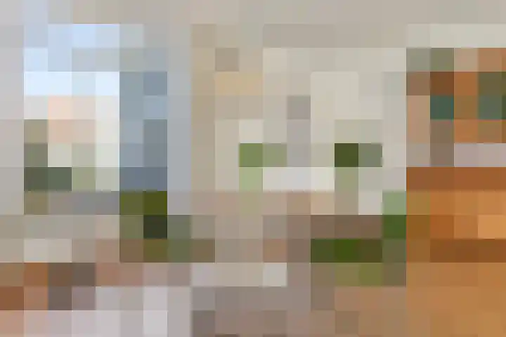 Philips Vingboonsstraat 63 Tilburg thumbnail 10