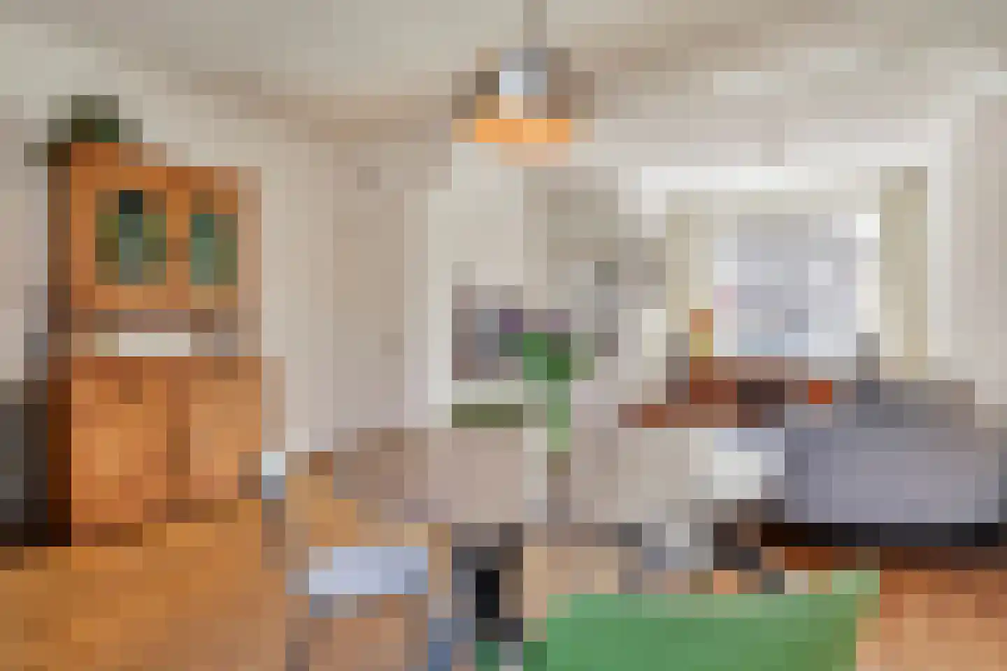 Philips Vingboonsstraat 63 Tilburg thumbnail 11