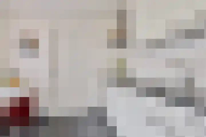 Philips Vingboonsstraat 63 Tilburg thumbnail 12