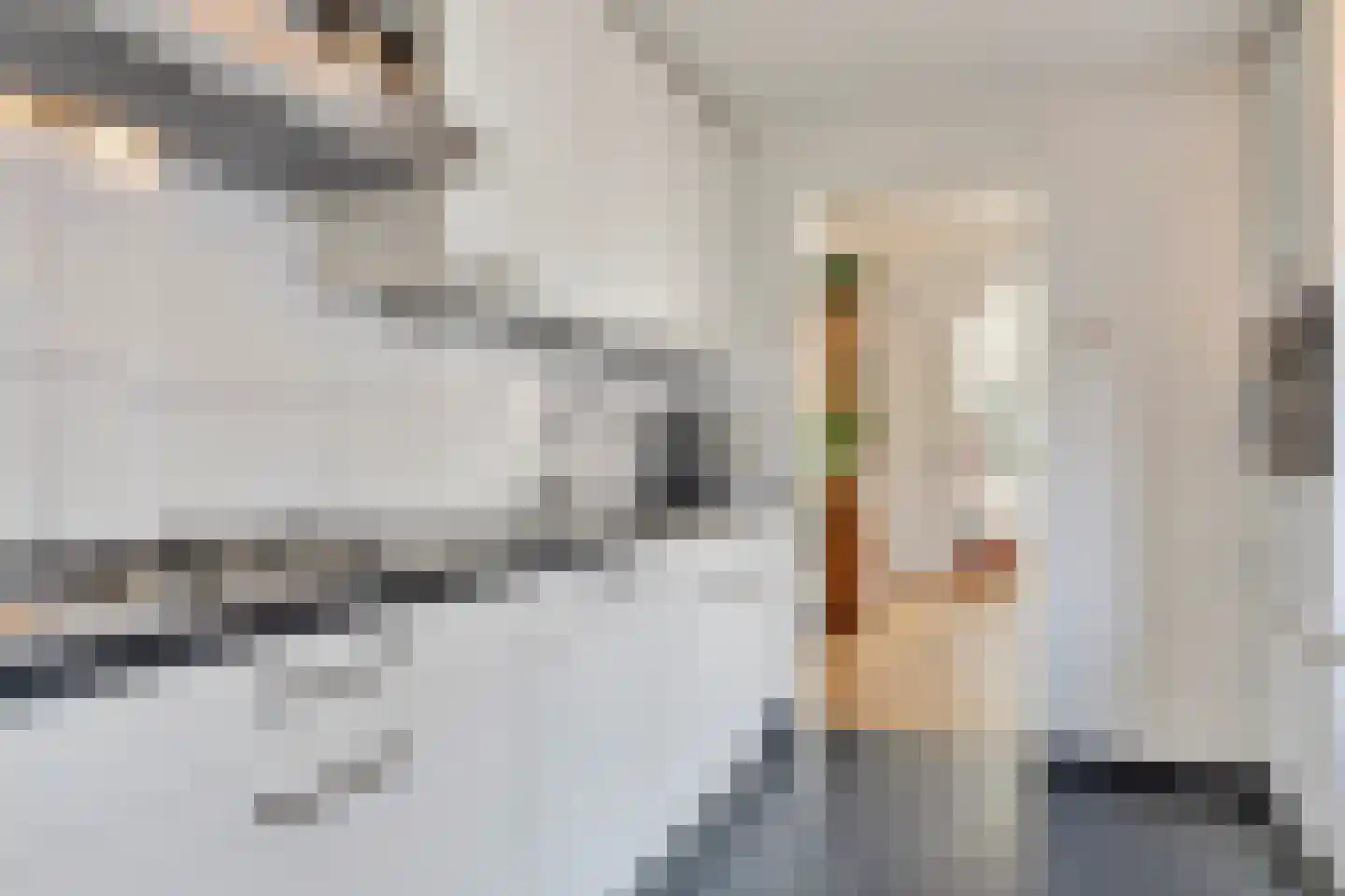 Philips Vingboonsstraat 63 Tilburg thumbnail 13