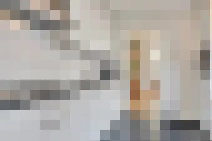 Philips Vingboonsstraat 63 Tilburg thumbnail 13