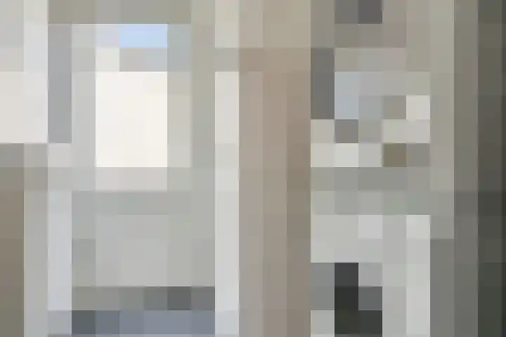 Philips Vingboonsstraat 63 Tilburg thumbnail 16