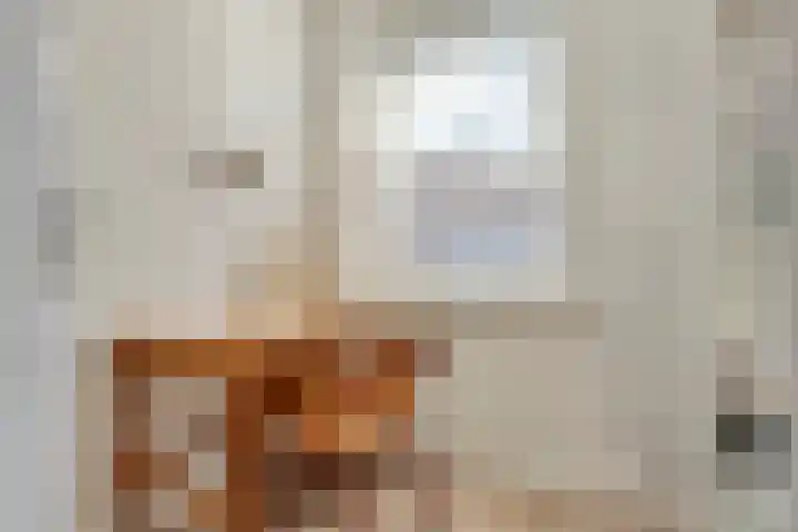 Philips Vingboonsstraat 63 Tilburg thumbnail 26