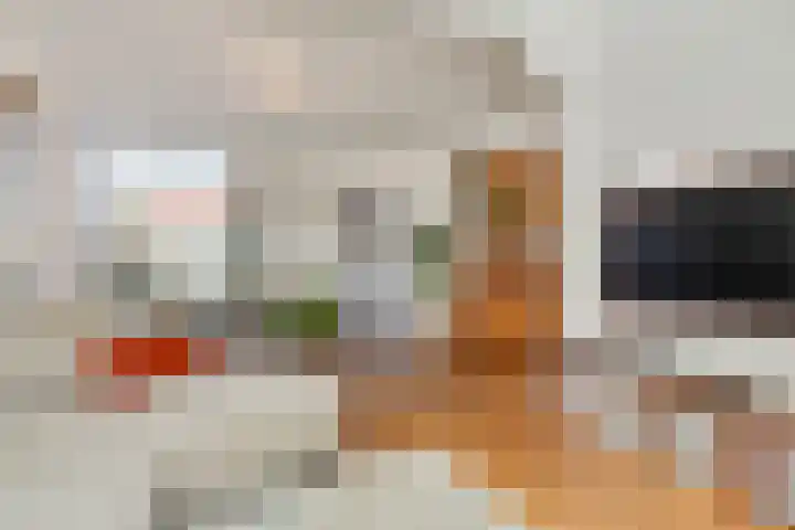 Philips Vingboonsstraat 63 Tilburg thumbnail 4