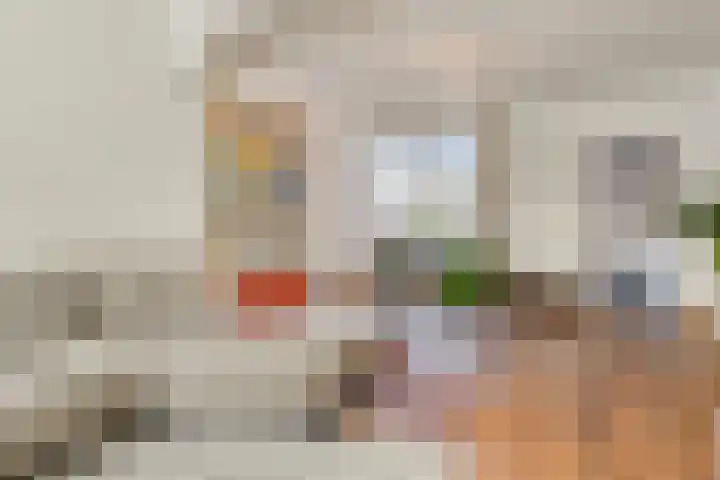 Philips Vingboonsstraat 63 Tilburg thumbnail 5