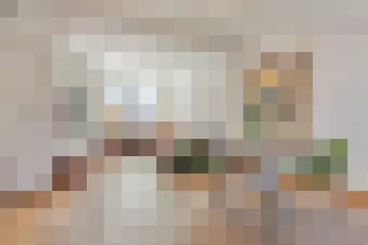 Philips Vingboonsstraat 63 Tilburg thumbnail 6