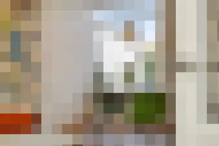 Philips Vingboonsstraat 63 Tilburg thumbnail 8